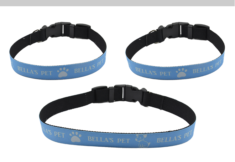 Adjustable Dog Collar-S
