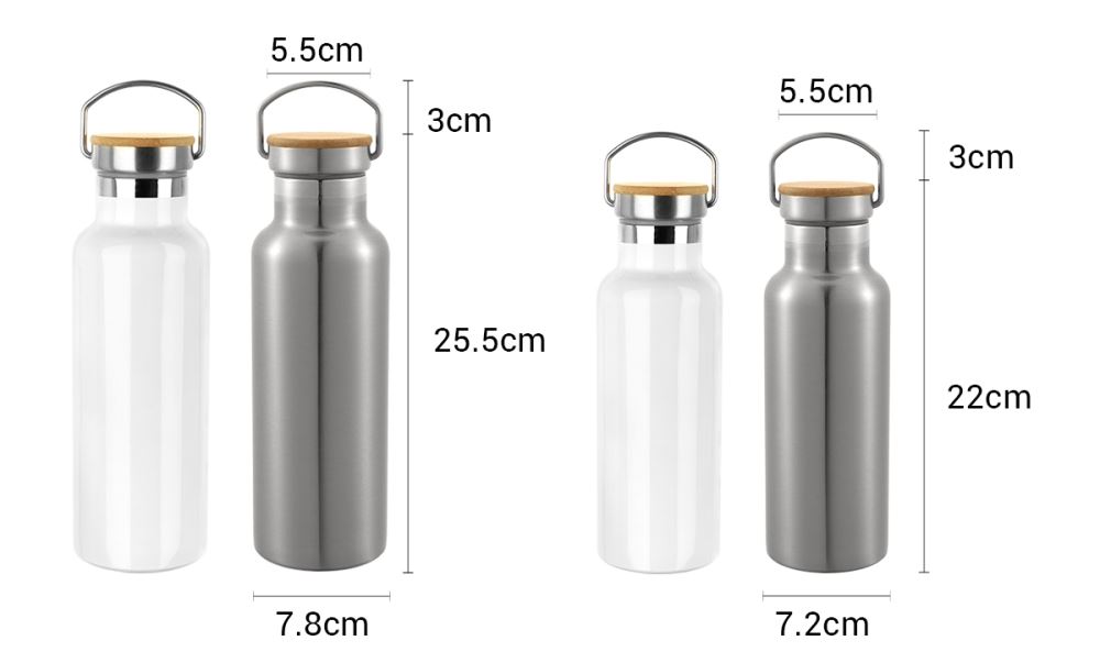 Portable Stainless Bottle - White/Silver