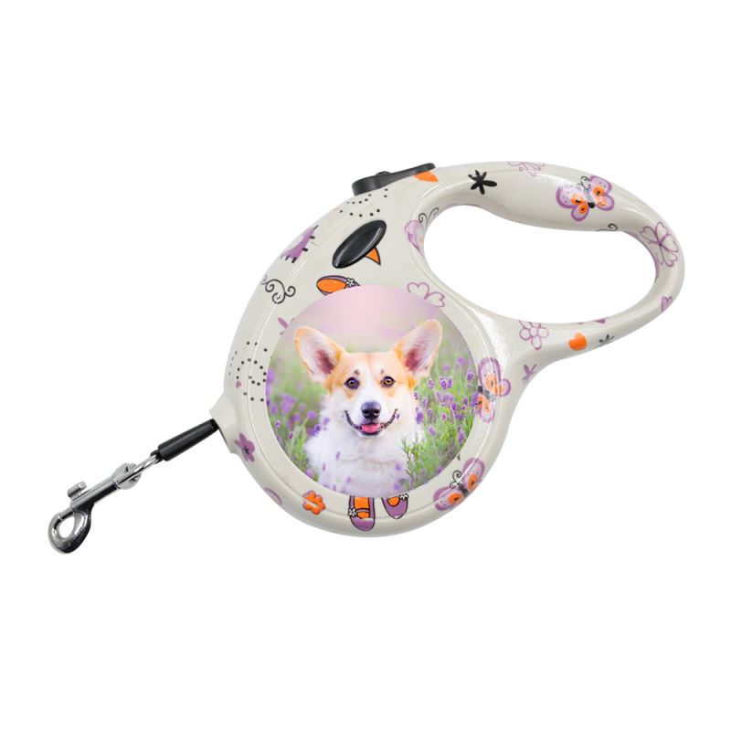 Pet Leash-Small-Butterfly Pattern