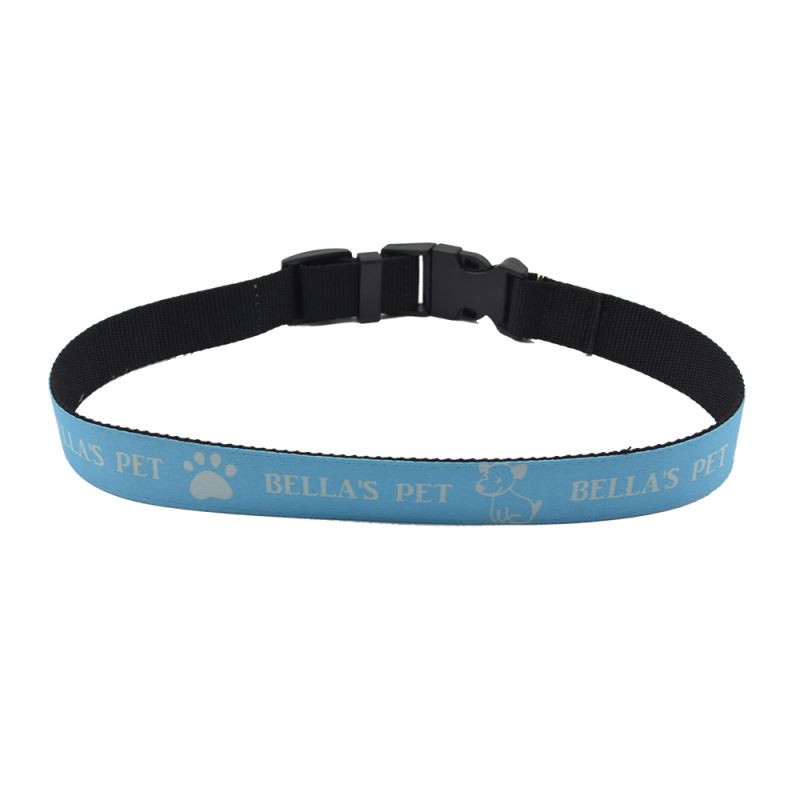 Adjustable Dog Collar-S