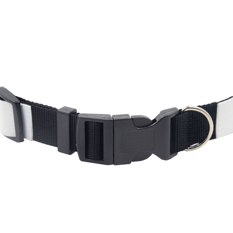 Adjustable Dog Collar-S