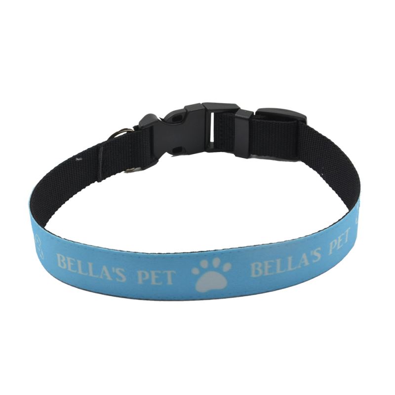 Adjustable Dog Collar-M