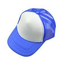 Adult mesh cap~blue