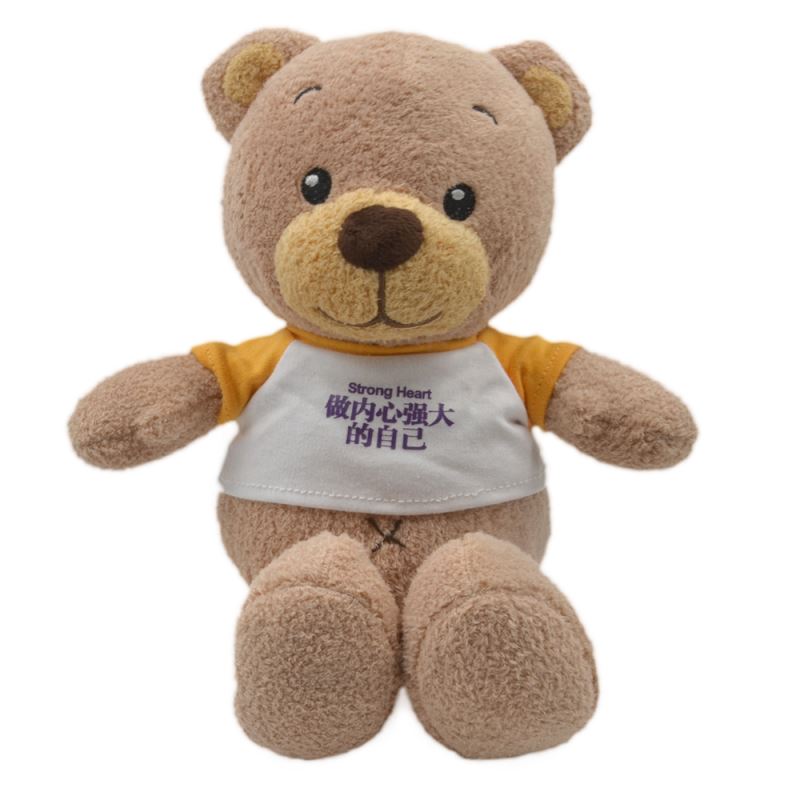 sublimation teddy t shirt