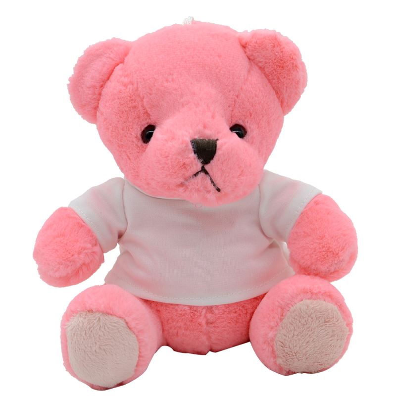 Pink Teddy Bear With T - shirt